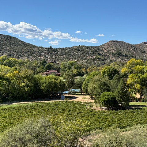 Green landscape with hills, trees, and a small red-roofed house under a clear blue sky.