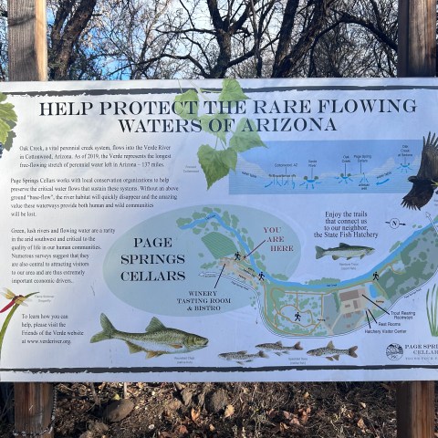 Sign promoting protection of Arizona's flowing waters, includes a map and wildlife illustrations.